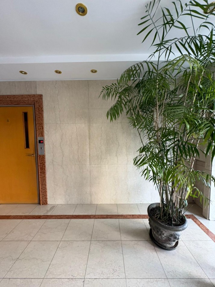 DEPARTAMENTO 3 AMBIENTES EN AV. LIBERTADOR