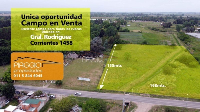 Importante Predio Con Casa de 4 Amb. 28.000 mt2. Remato !!